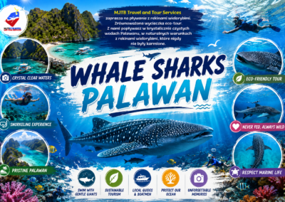 WHALE SHARKS WATCHING Eco Tour